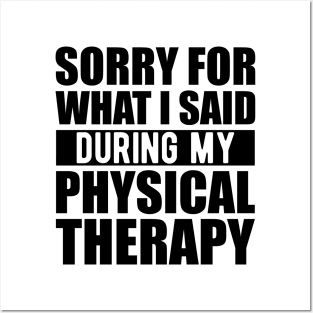 Physical Therapist - Sorry for what I said during my physical therapy Posters and Art